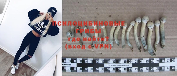 молекула духа Балабаново