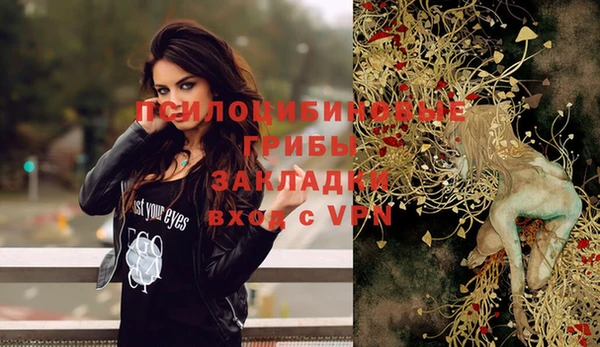 молекула духа Балабаново